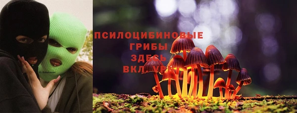 индика Балабаново