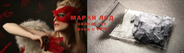 индика Балабаново